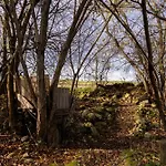 Дом отдыха Earthen - Natural Luxury Family Retreat With Sauna And Private Garden *