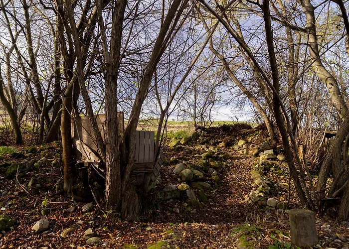 Vakantiehuis Earthen - Natural Luxury Family Retreat With Sauna *